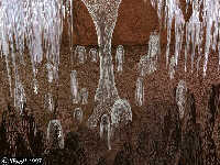 ������� ��������  (95��)